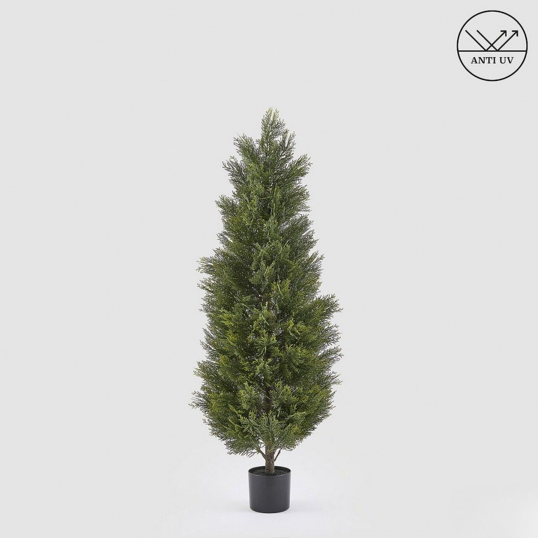 Cipres 150 cm - UV bestendig