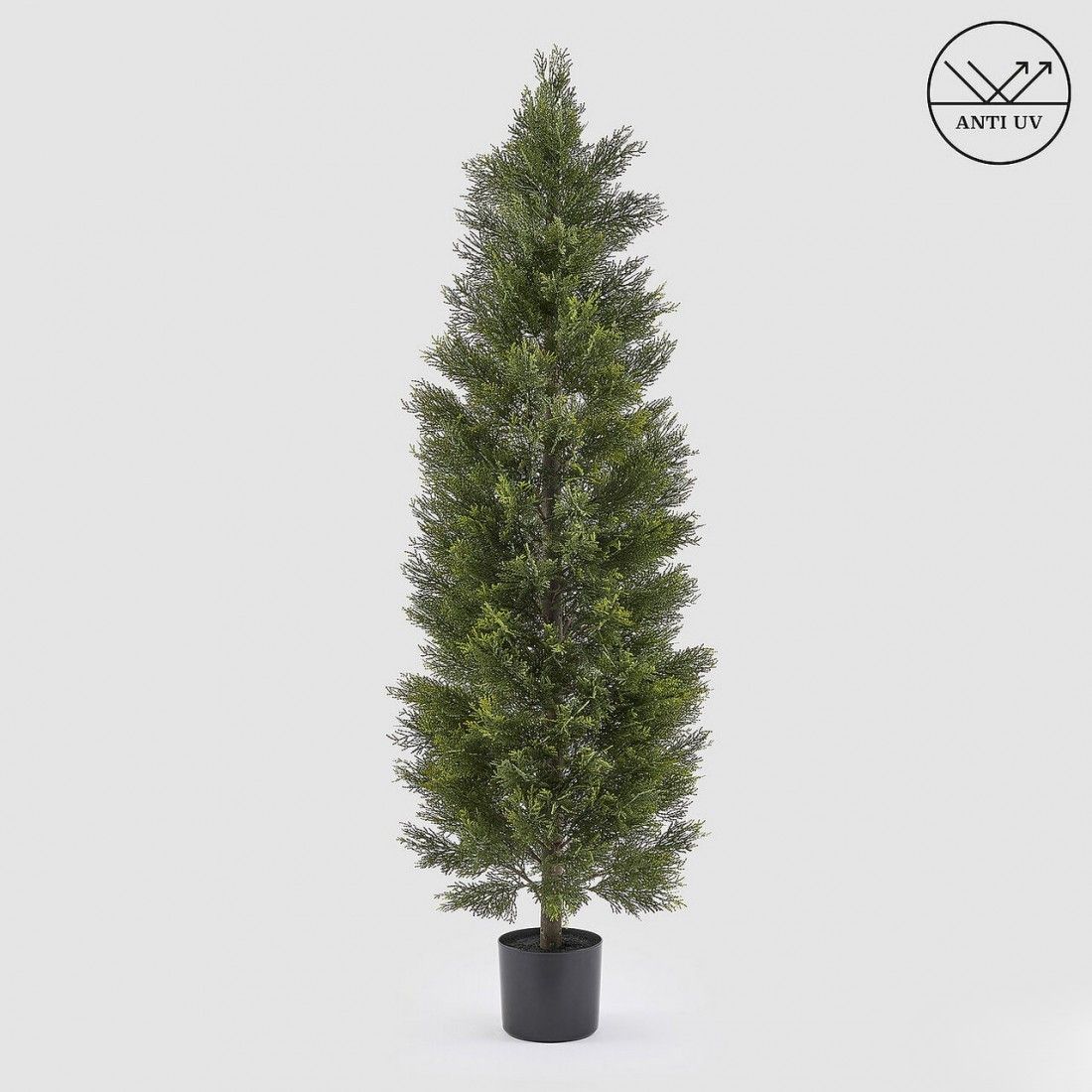 Cipres 180 cm - UV bestendig