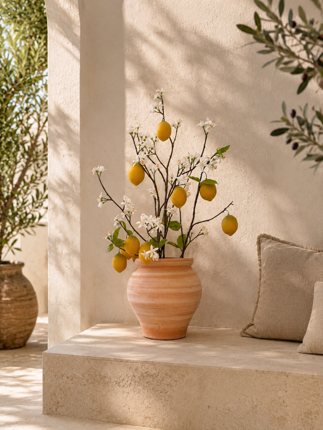Citroenboompje in pot 75 cm