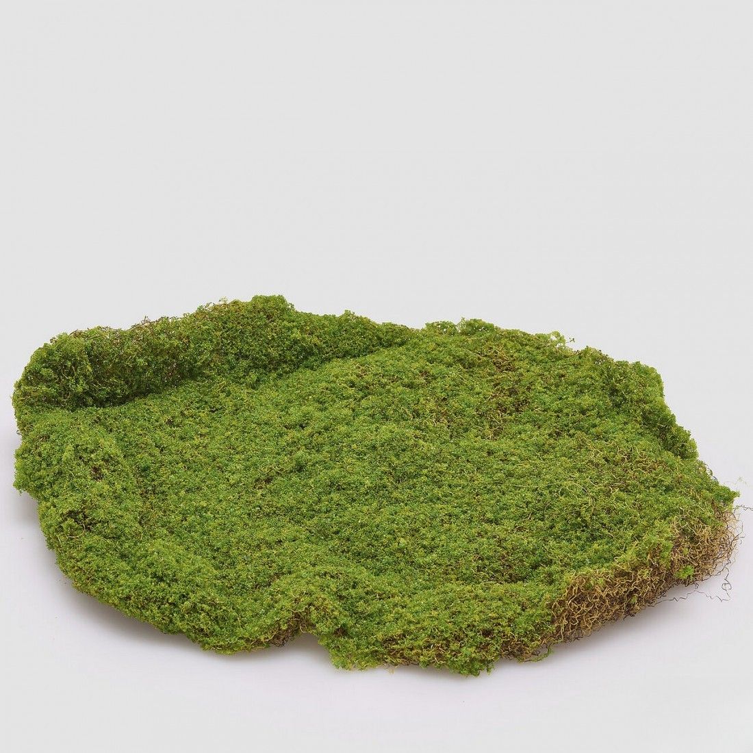 Moss panel / 40 cm
