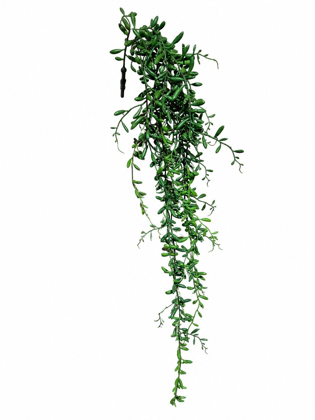 Hangplant Succulent type / steker 85 cm
