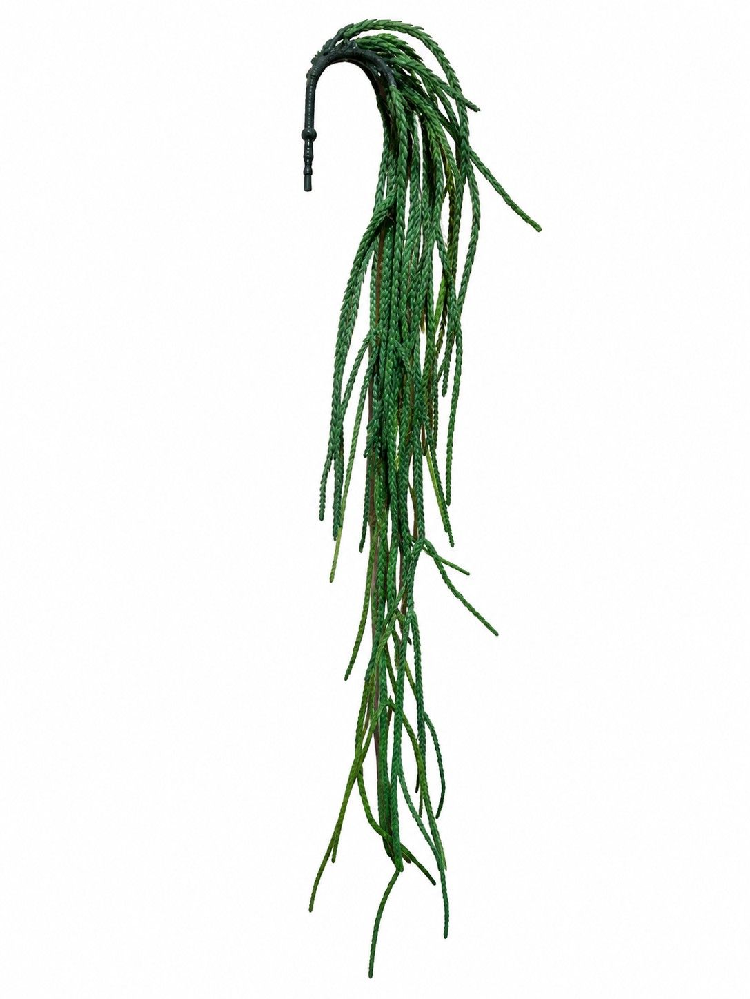 Hangplant Succulent / steker 90 cm