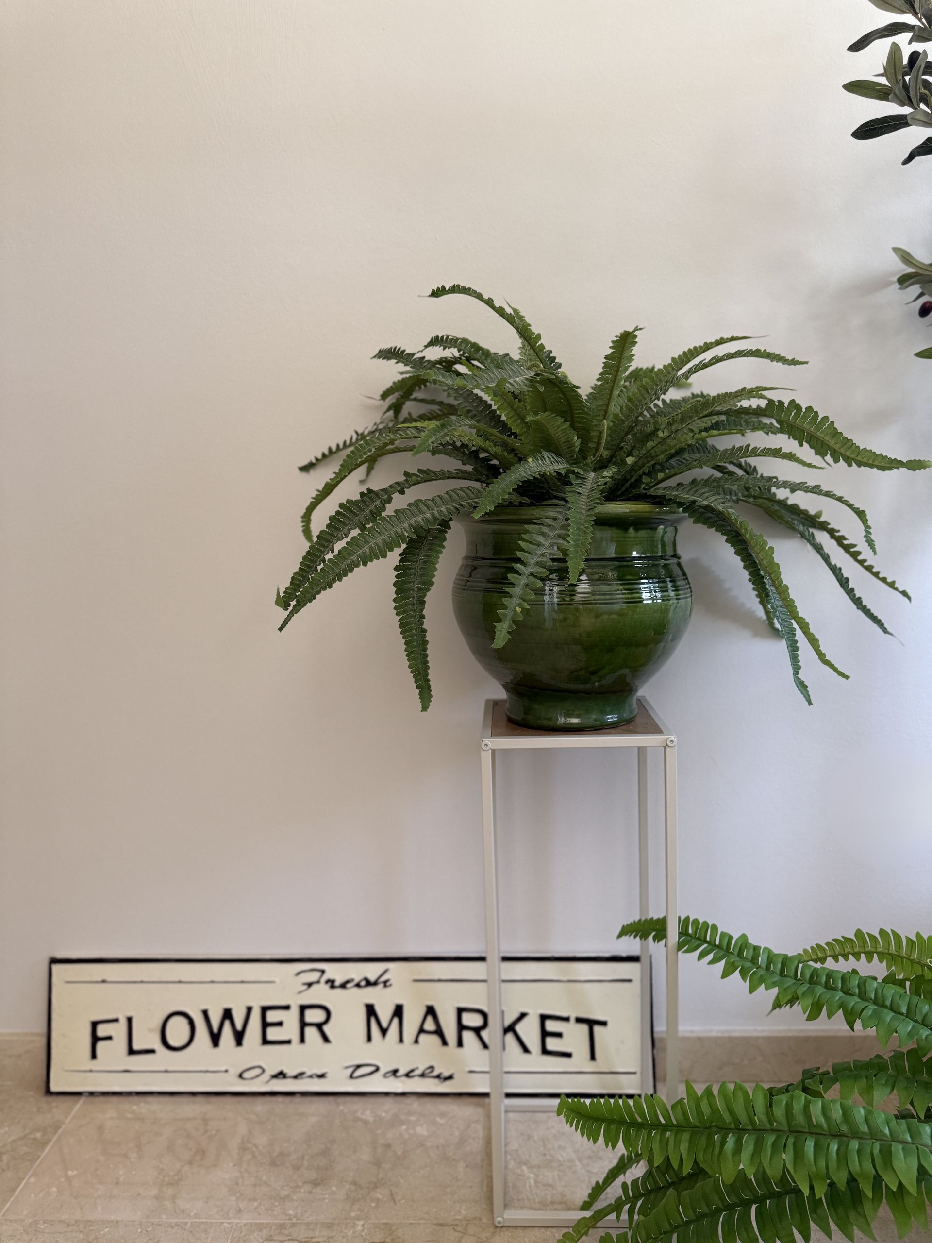 Varen plant / steker 76 cm