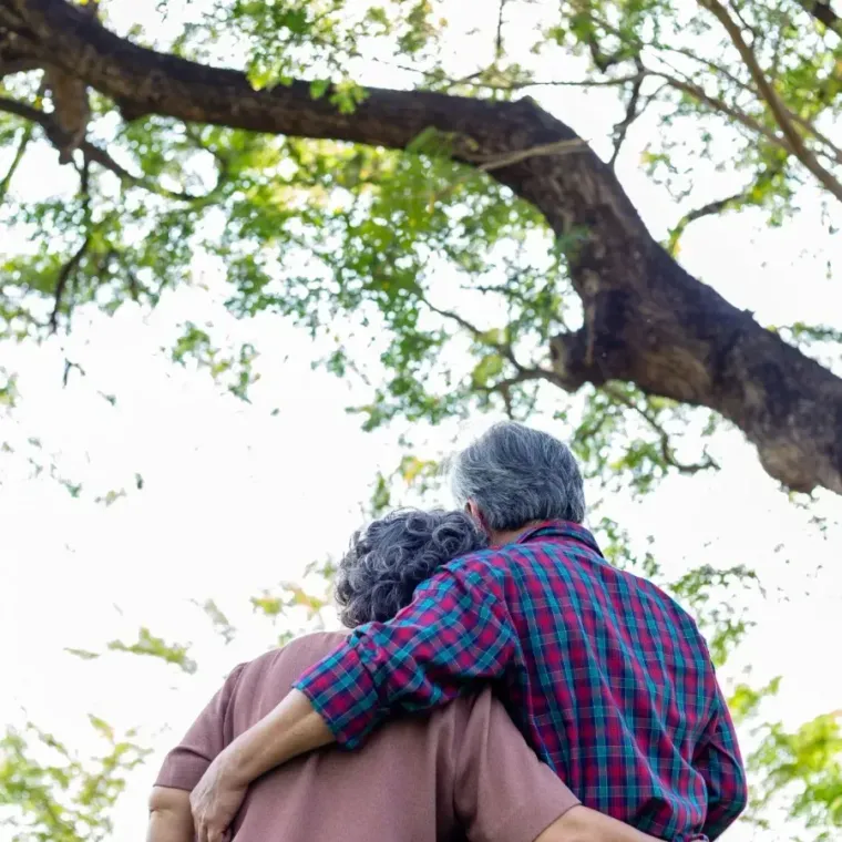 Two people sitting together under a tree, seen from behind with arms around each other