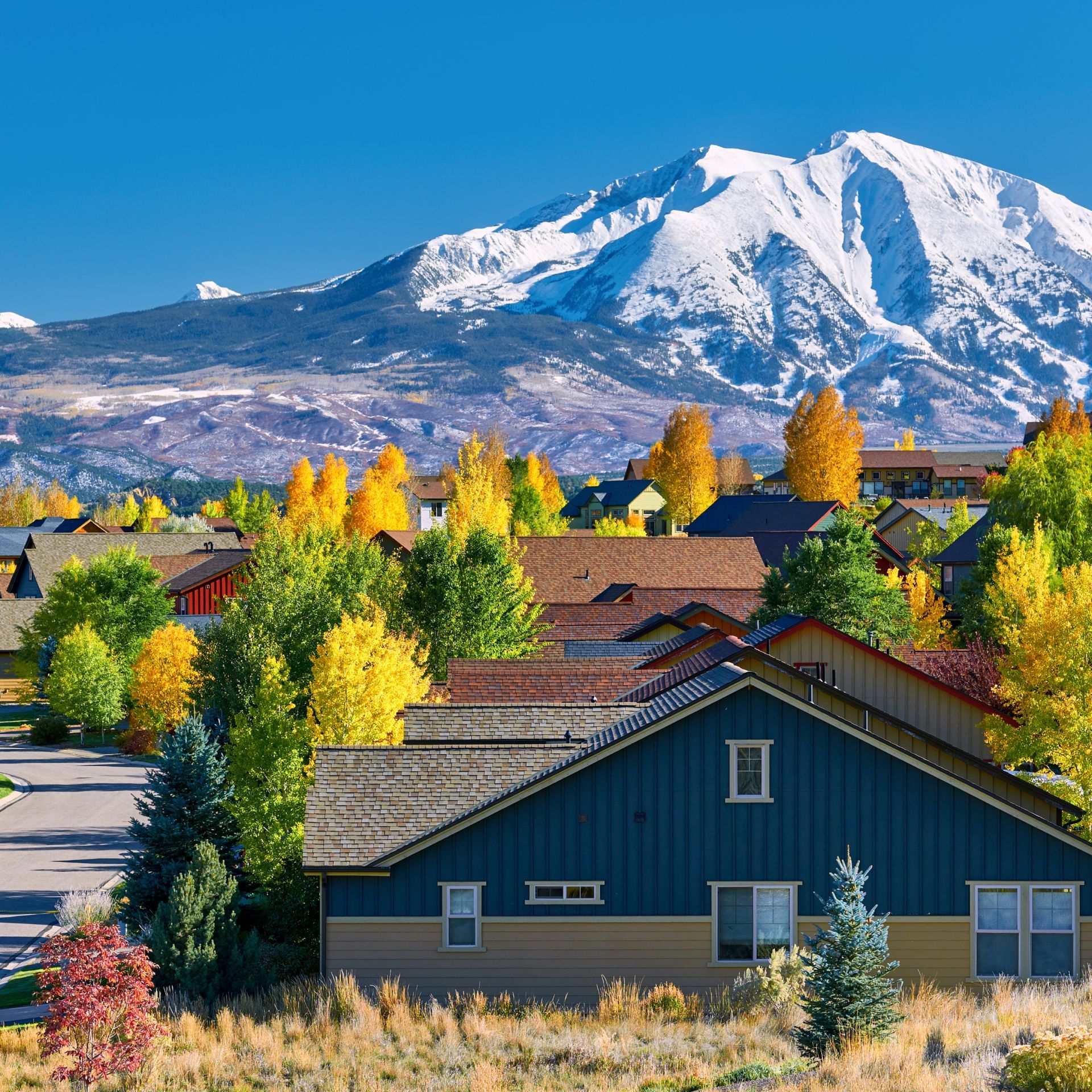 A residential area with a mountain in the background
