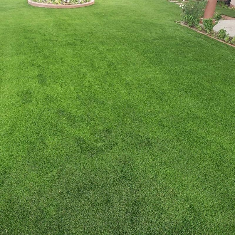 Exuberante césped verde con un parterre delimitado por piedras y un sendero de ladrillo en el borde