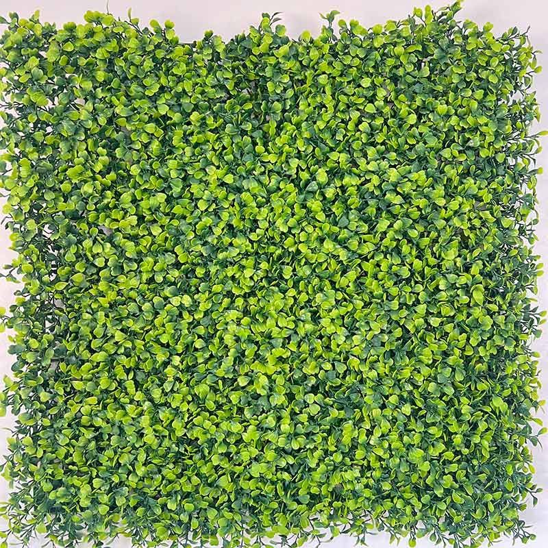 Seto verde y denso que llena el encuadre, con pequeñas hojas brillantes formando un patrón cuadrado
