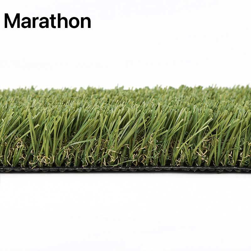 Césped Marathon en una franja verde y densa, con el título «Marathon» encima