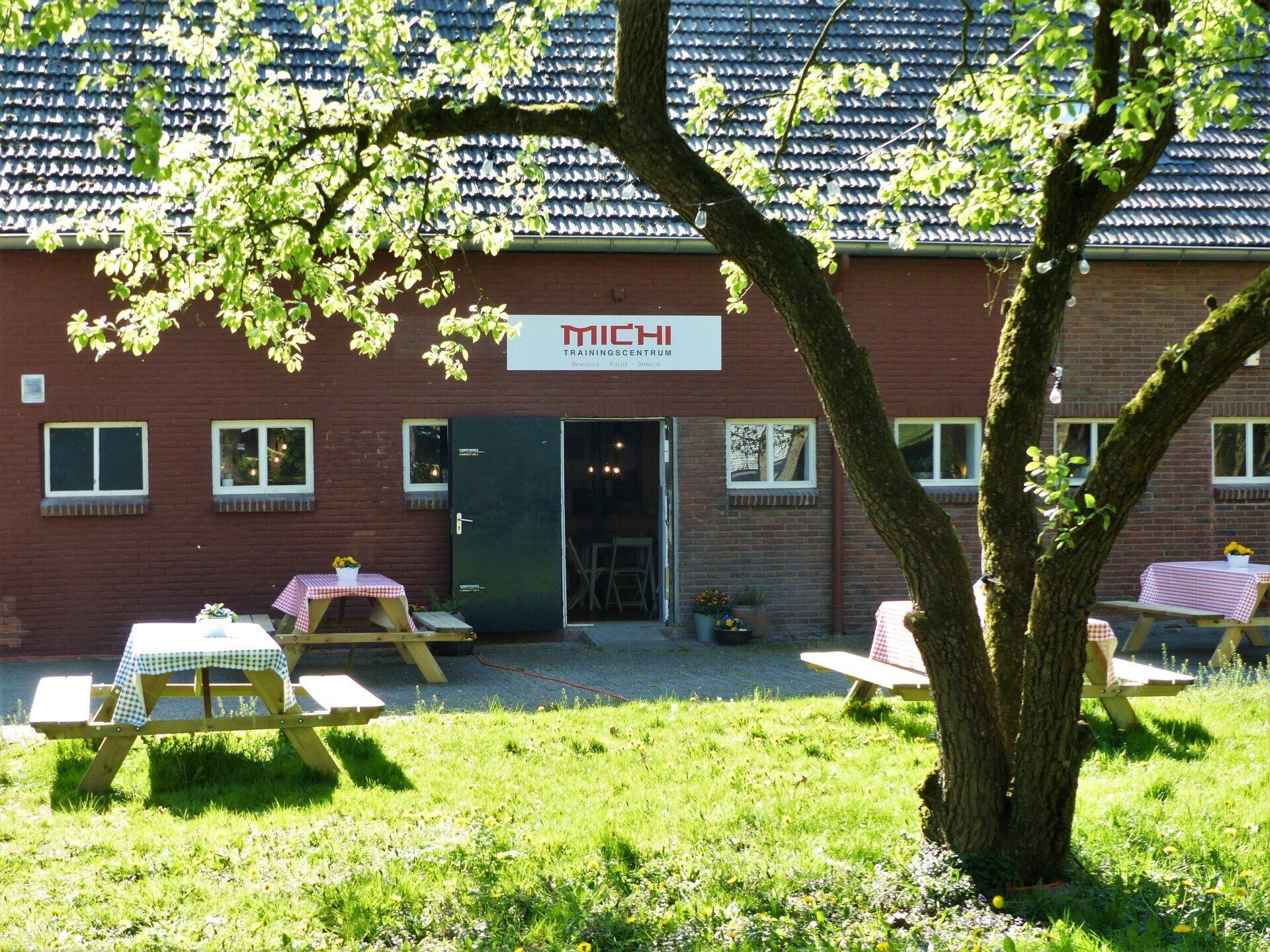 Terras onder de perenbomen