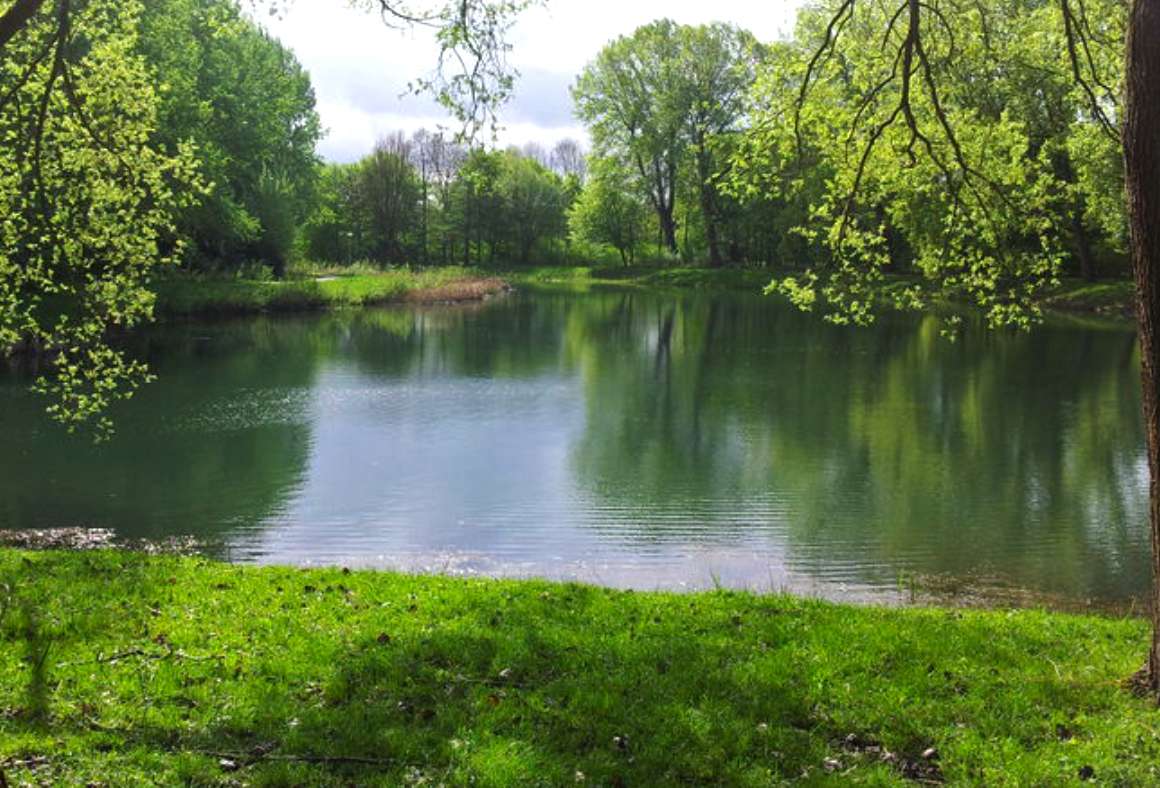 Vijver in park