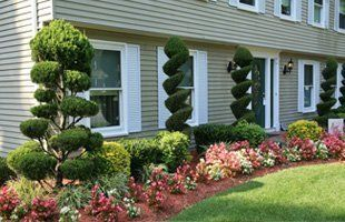 A house with a lot of bushes and flowers in front of it.