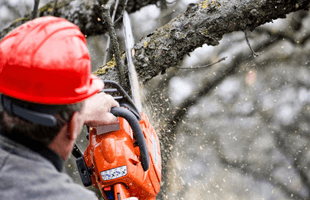 A man wearing a red hard hat is cutting a tree branch with a chainsaw.