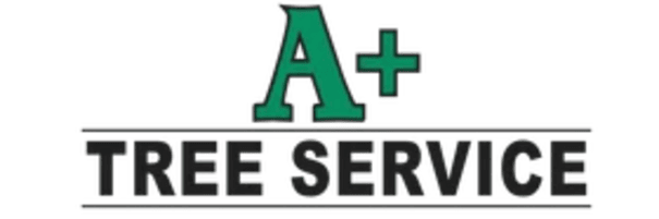 The logo for a+ tree service is green and black