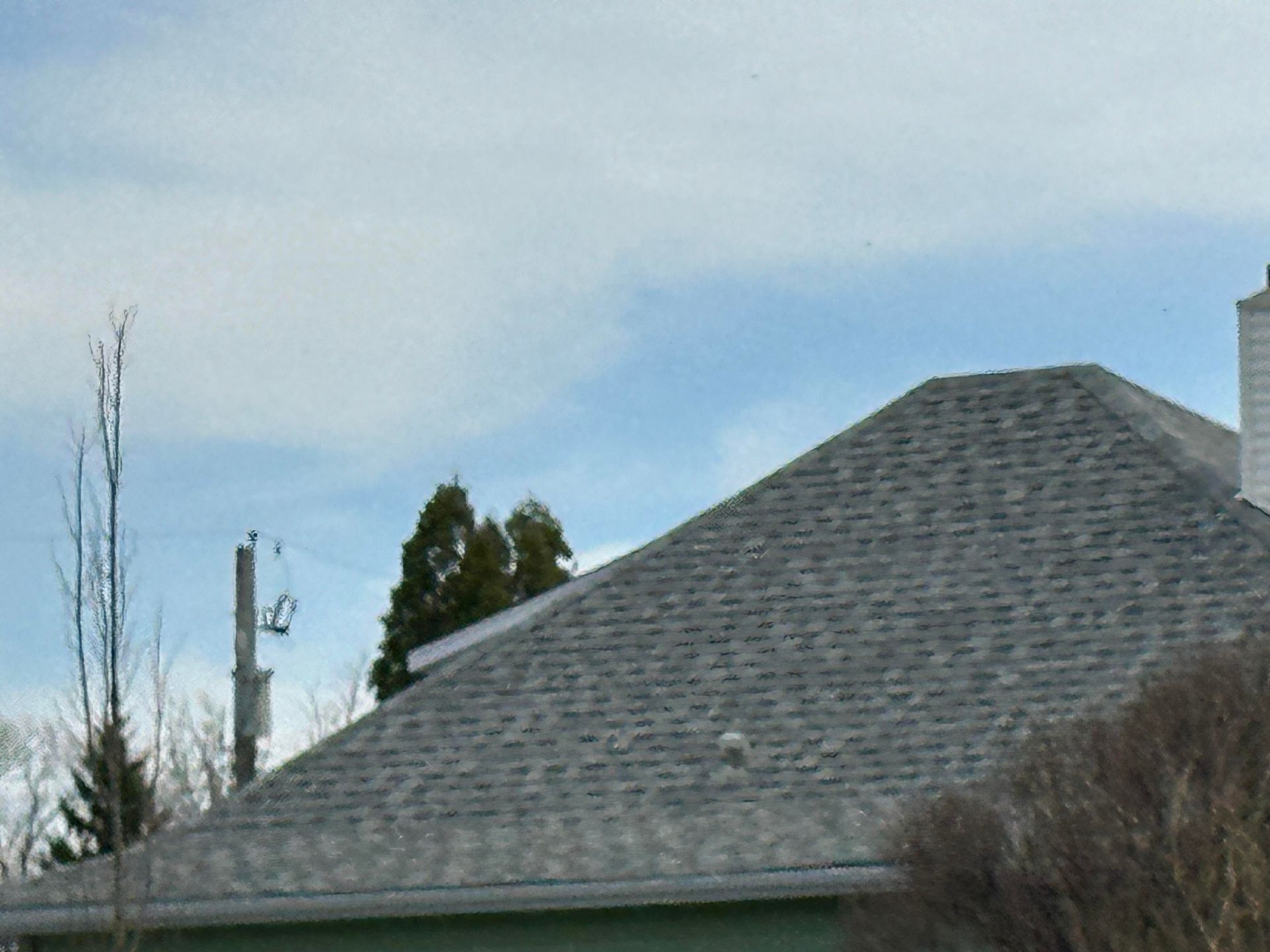 Gray shingled roof beneath a cloudy blue sky with trees and utility pole in the background