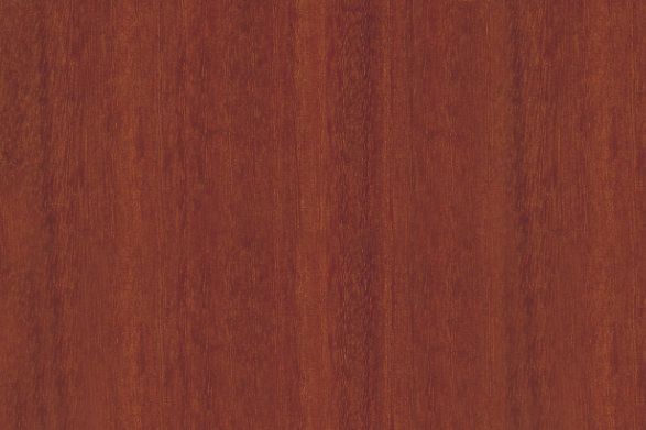 A close up of a piece of wood showing the texture of the wood.