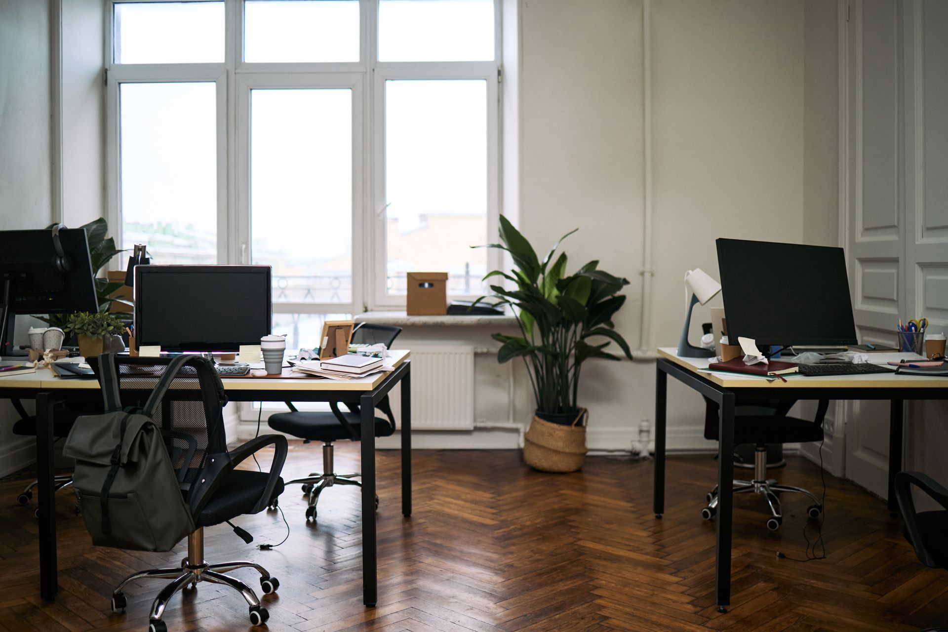 Modern office with desks, computers, chairs, plants, and large windows on a hardwood floor