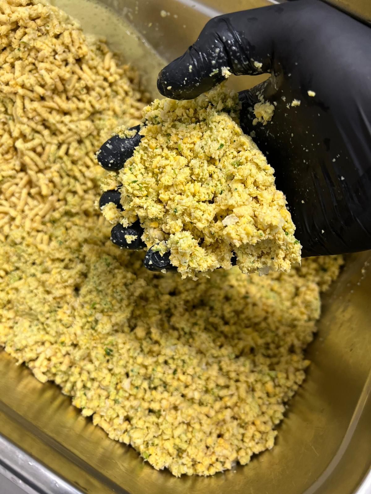 Black-gloved hand holding a clump of light yellow, granular falafel mixture in a metal tray.