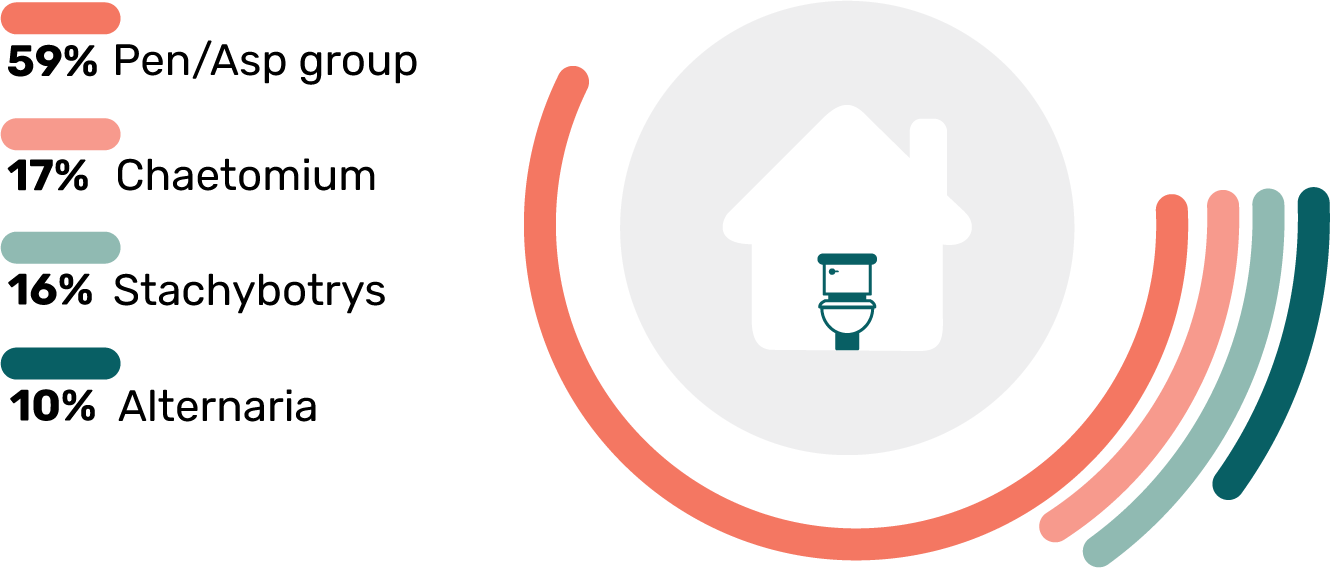 Toxic Mold Types in Bathrooms