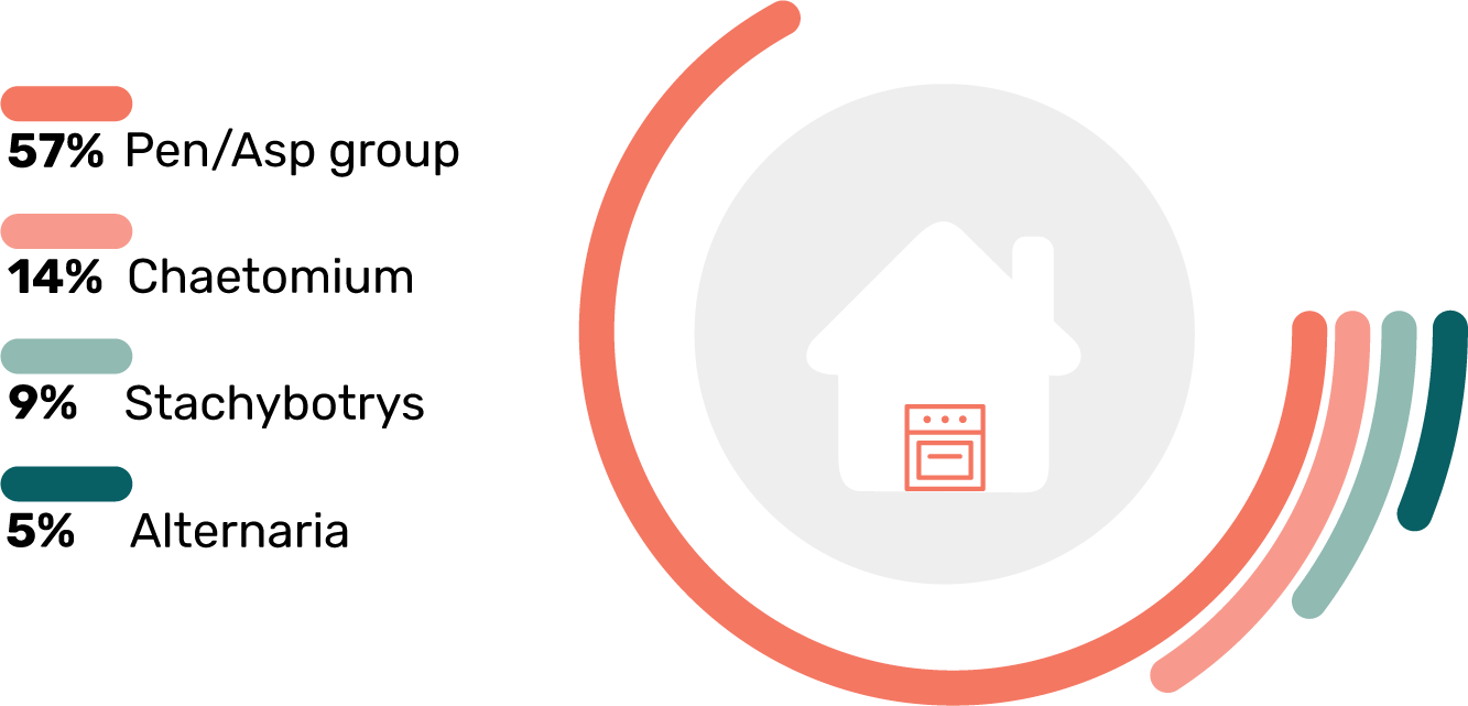 Toxic Mold Types in Kitchens