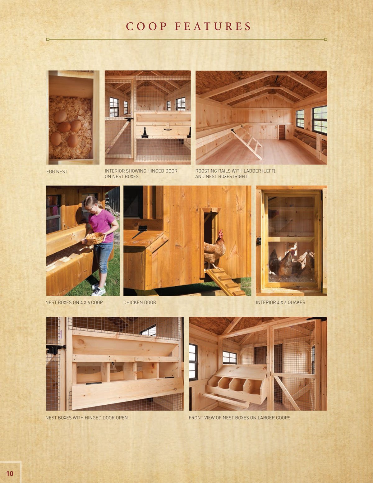 Chicken Coops Burlington, NJ The Shed Lot