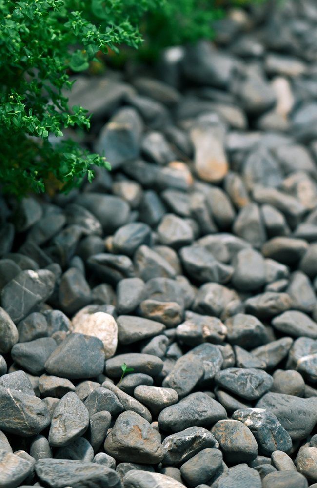 Washed drainage gravel used around a subsurface drain
