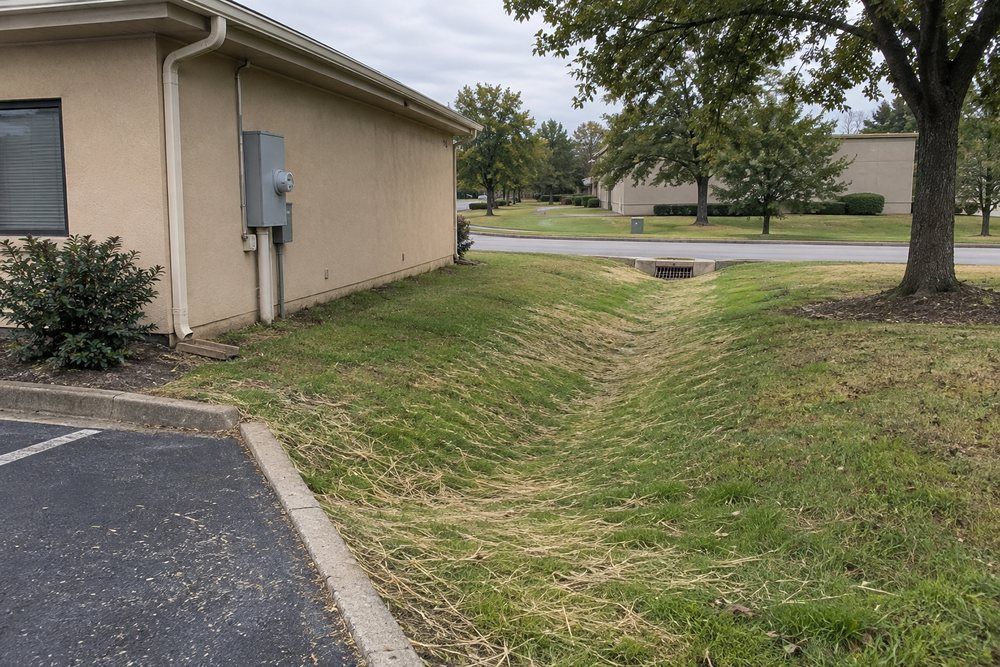 Grassed drainage swale beside a small commercial property