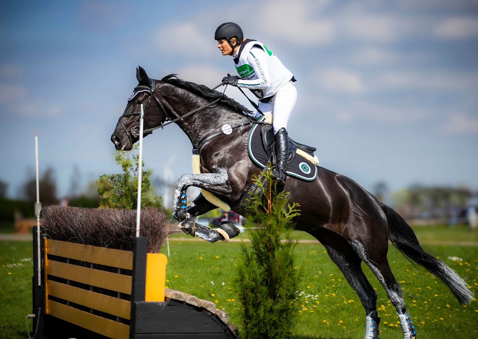 Een ruiter in een wit shirt en zwarte helm springt op een donker paard over een houten hindernis in een groen, open veld.