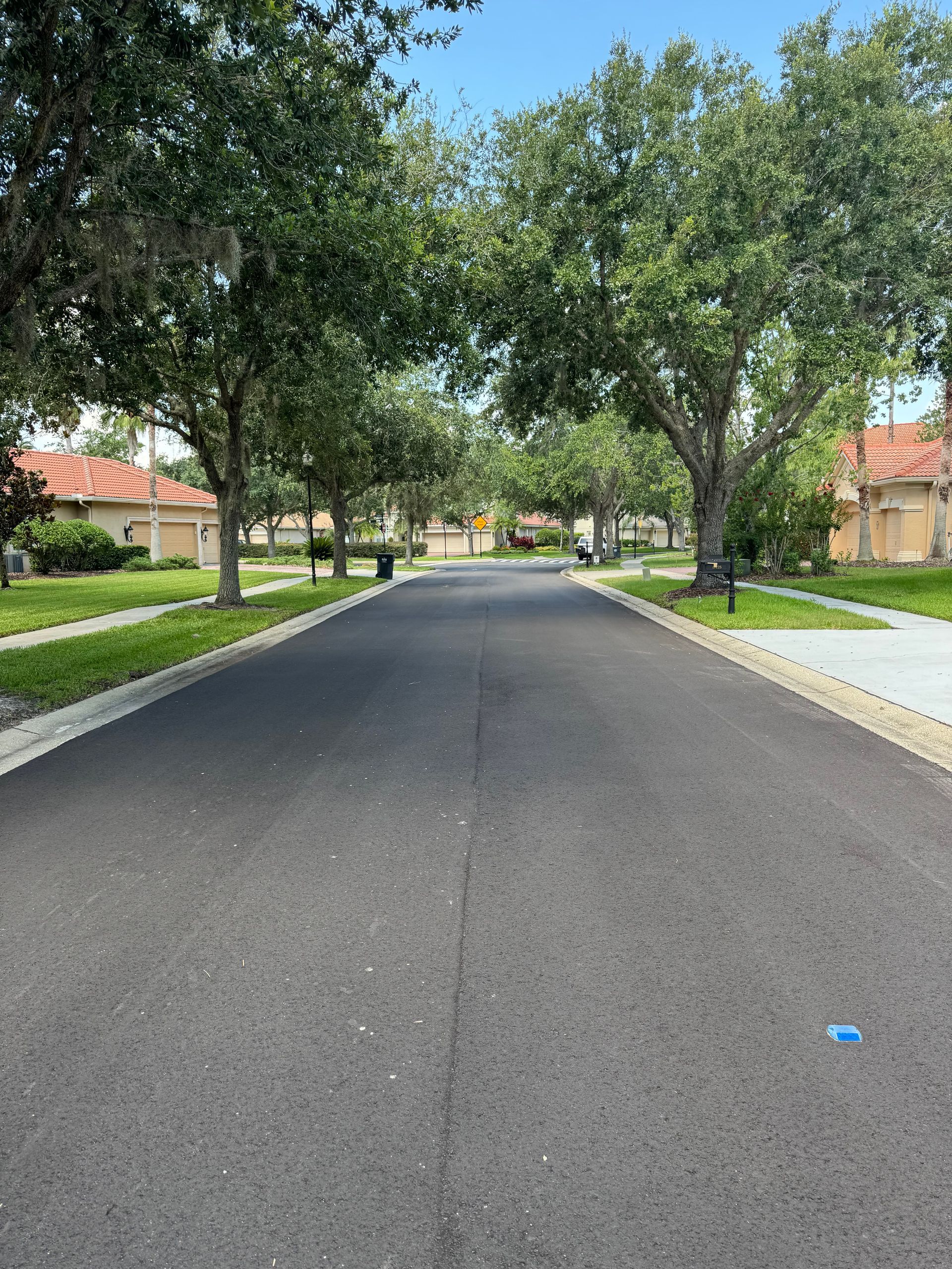 Tree-lined residential street with empty asphalt road and houses on both sides