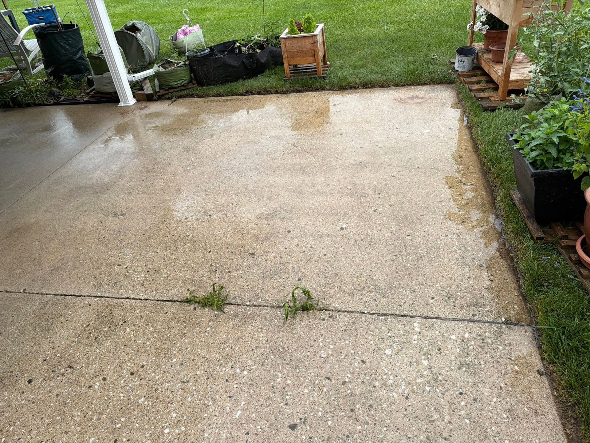 Wet concrete patio with potted plants along the edges and a grassy yard beyond.