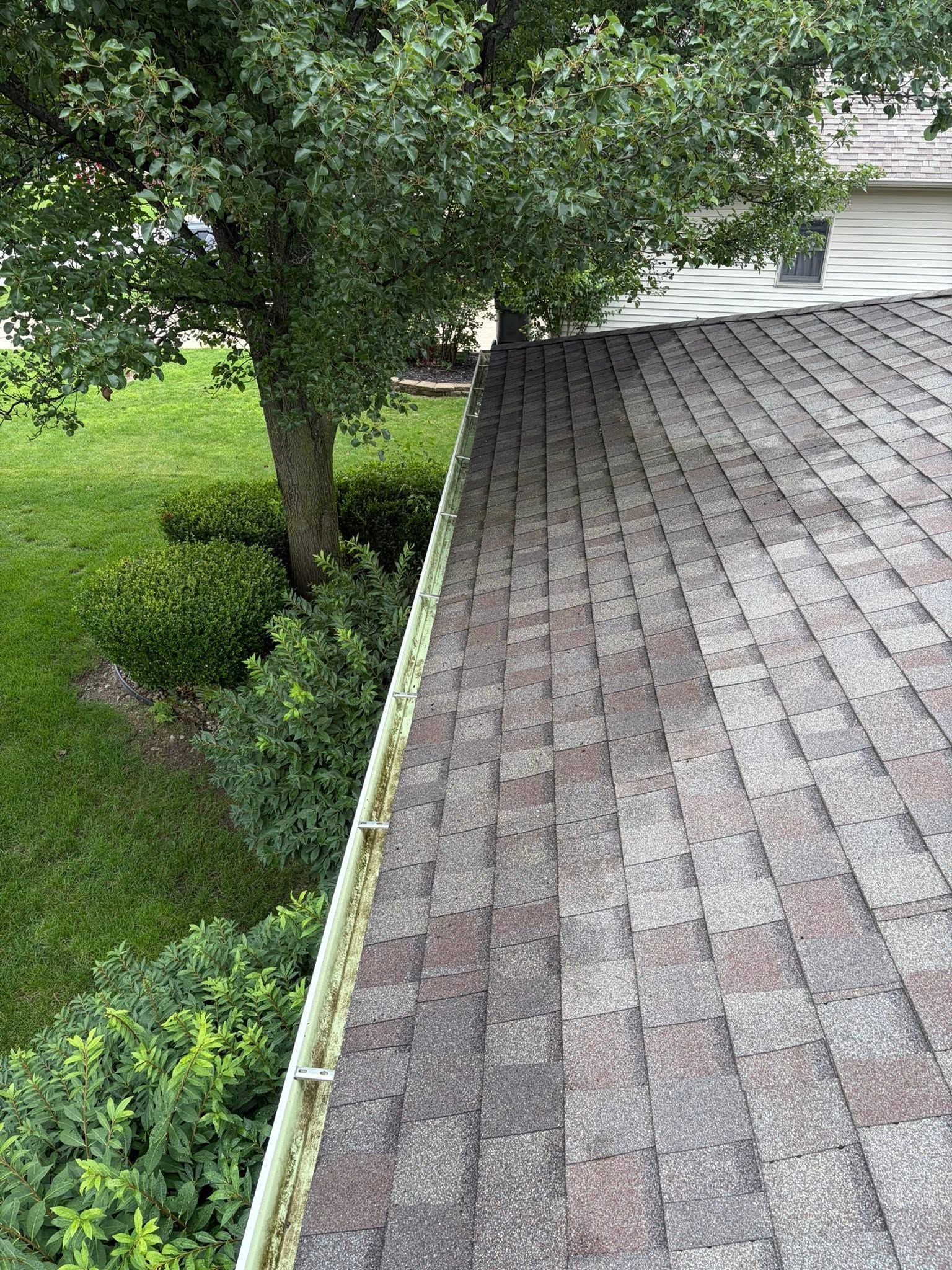 Shingled roof beside a green lawn and leafy tree after rain