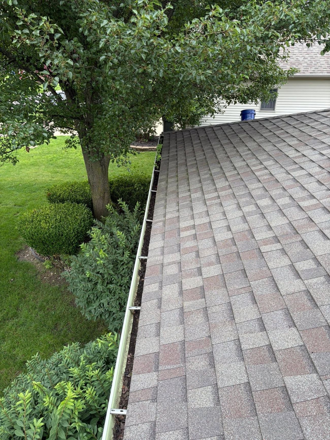 Gutter beside a gray shingle roof with a leafy tree and green yard below