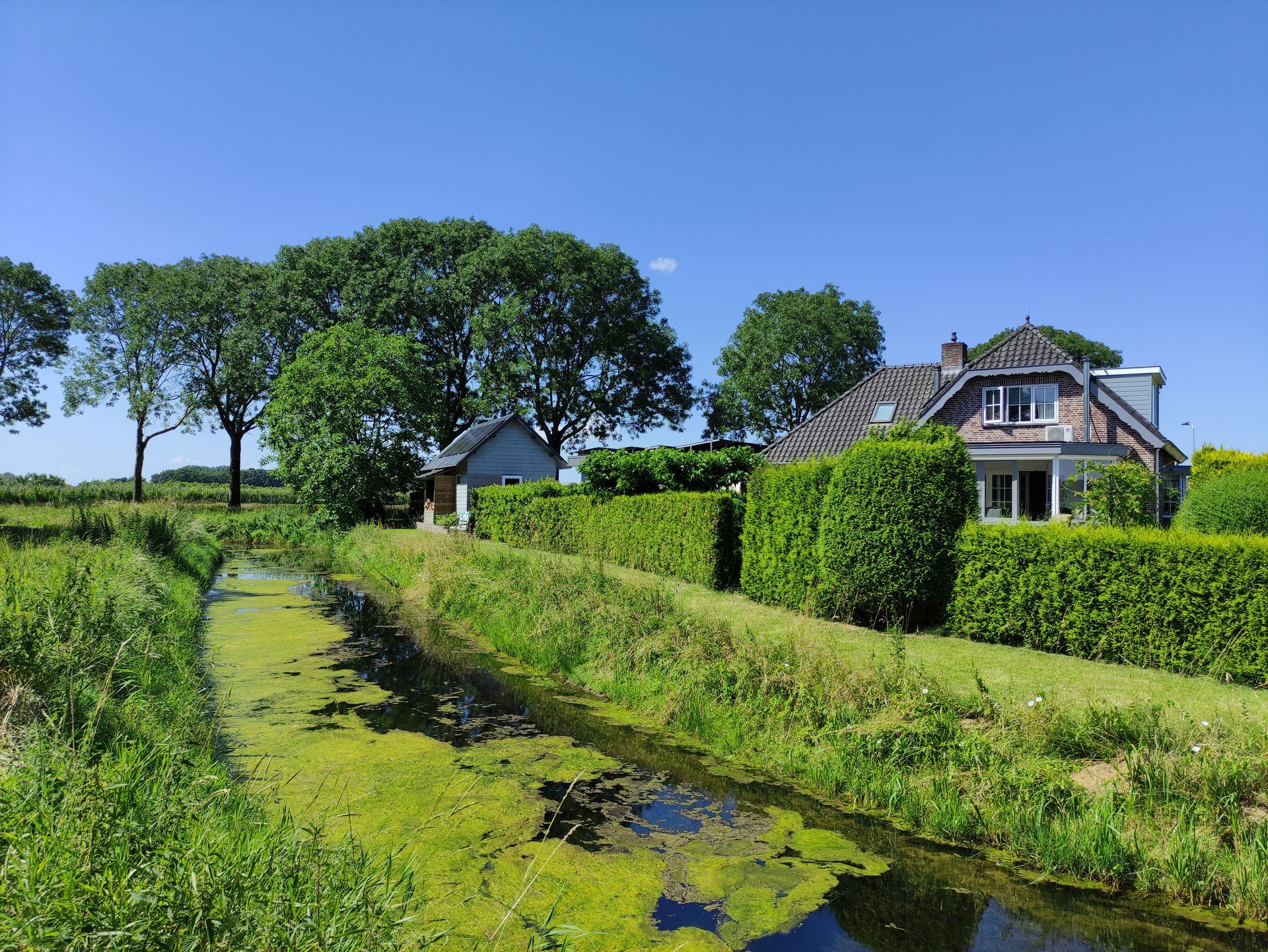 Een smalle sloot naast een heg en een huis in een groen landschap onder een blauwe hemel.