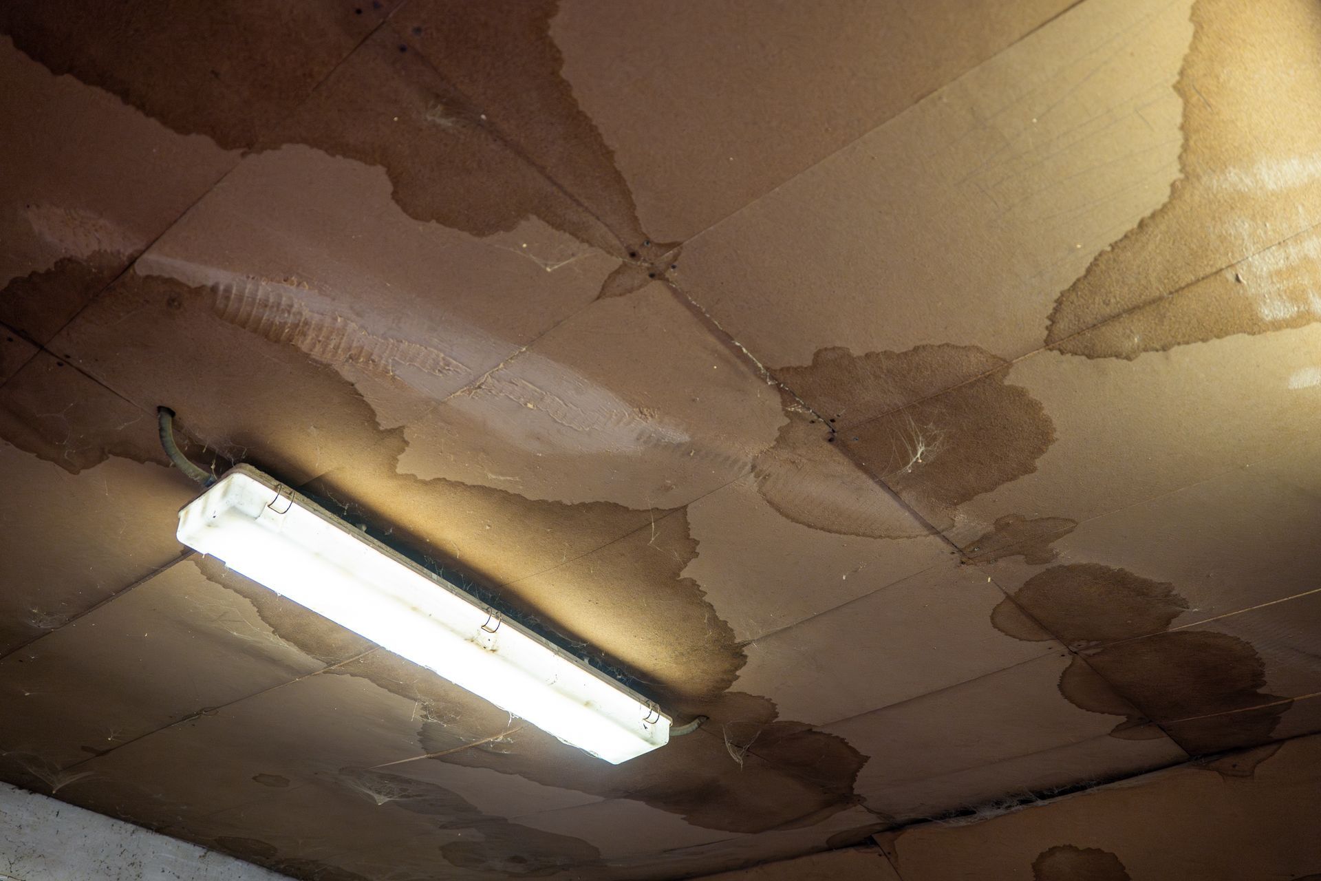 Water damaged ceiling with large wet stains and fluorescent light.