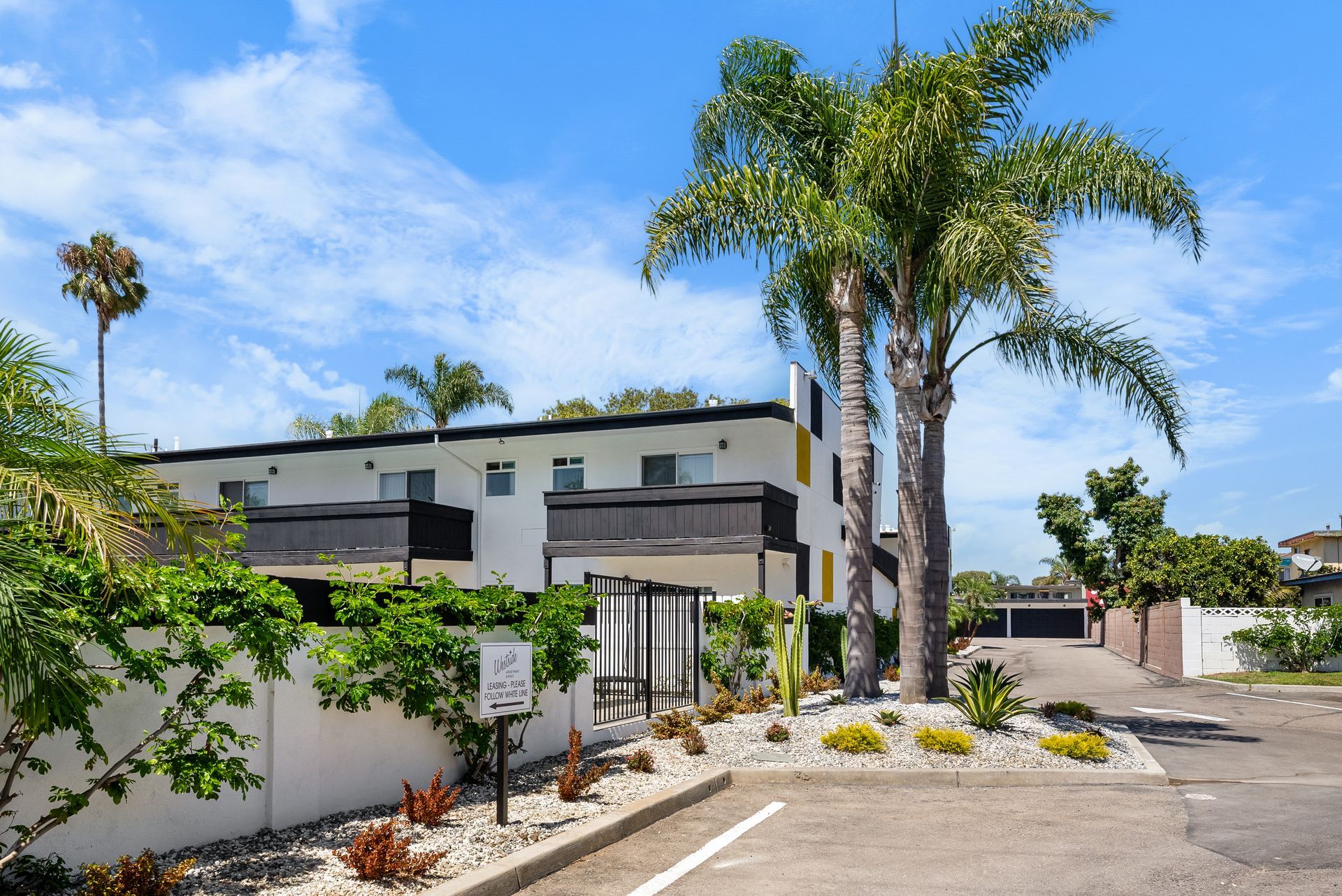 Exterior building and palm trees