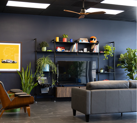 Modern living room with blue walls, gray sectional sofa, TV, shelves, and plants | Pacific German