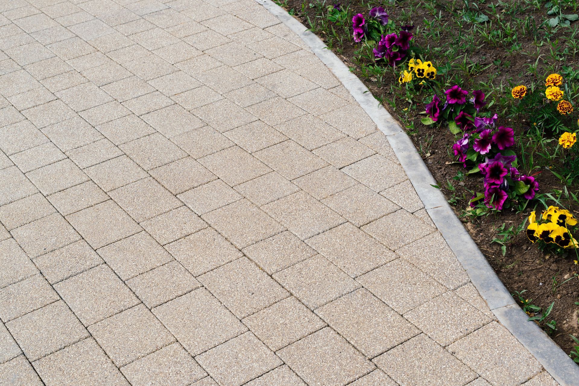 Curved tiled walkway beside a flower bed with purple, yellow, and orange blooms