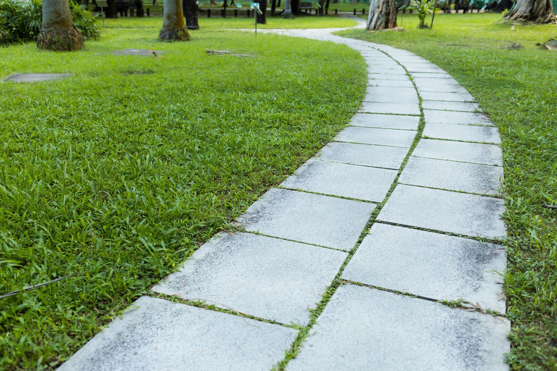 Curved white stone path through a green park lawn, with trees in the background