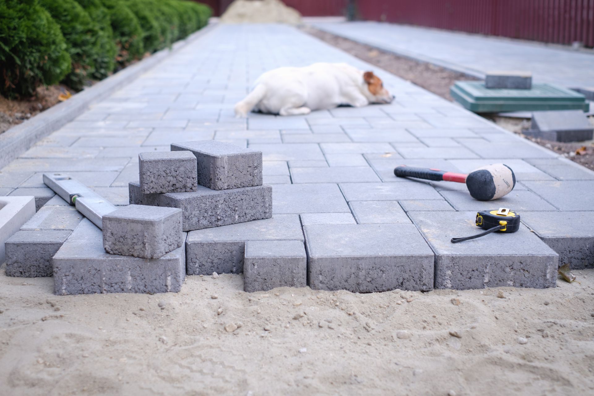 Paved walkway under construction with stacked pavers, tools, and a small dog resting on the path