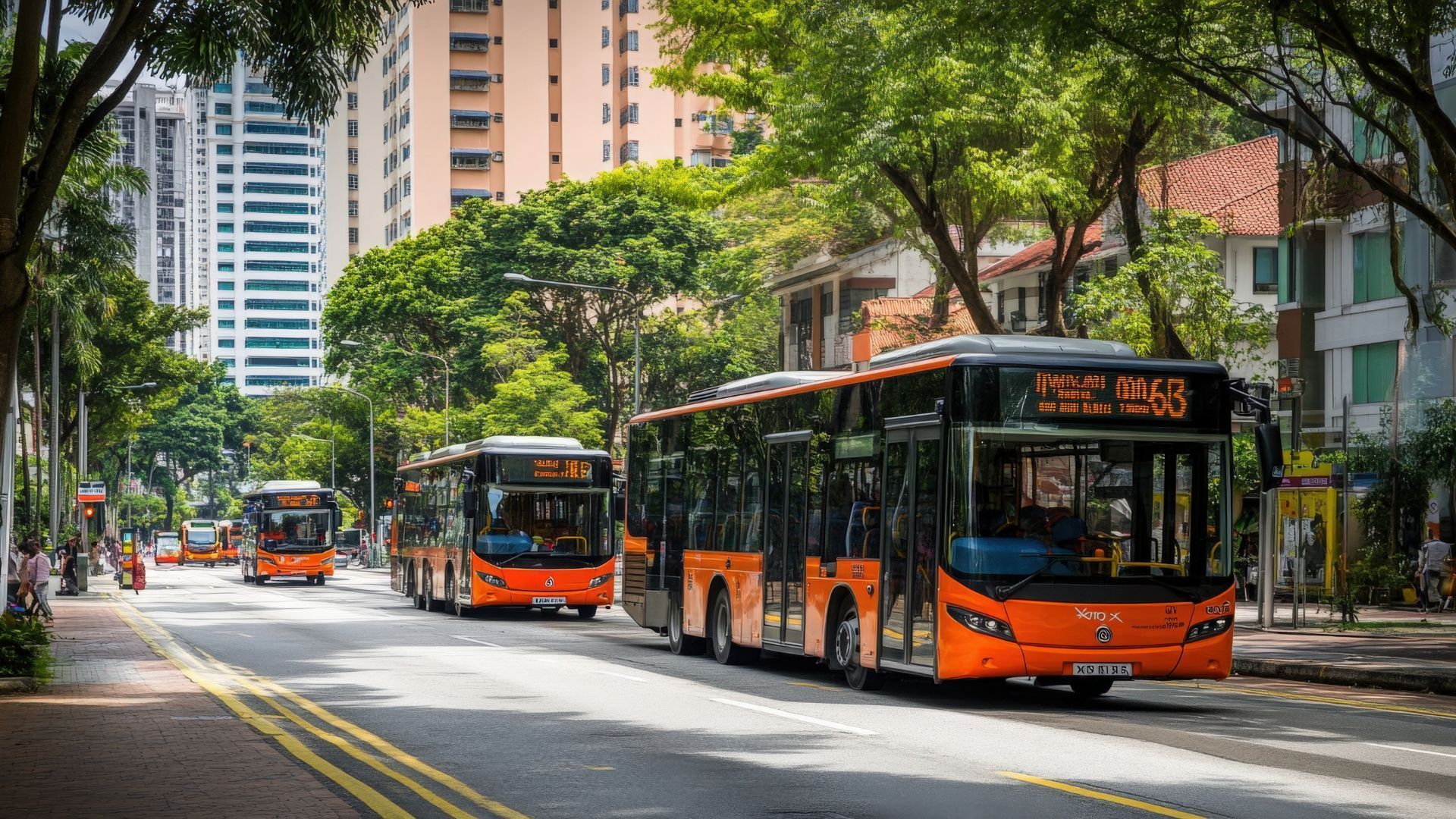 Orange buses on a road with trees and tall buildings in the background.