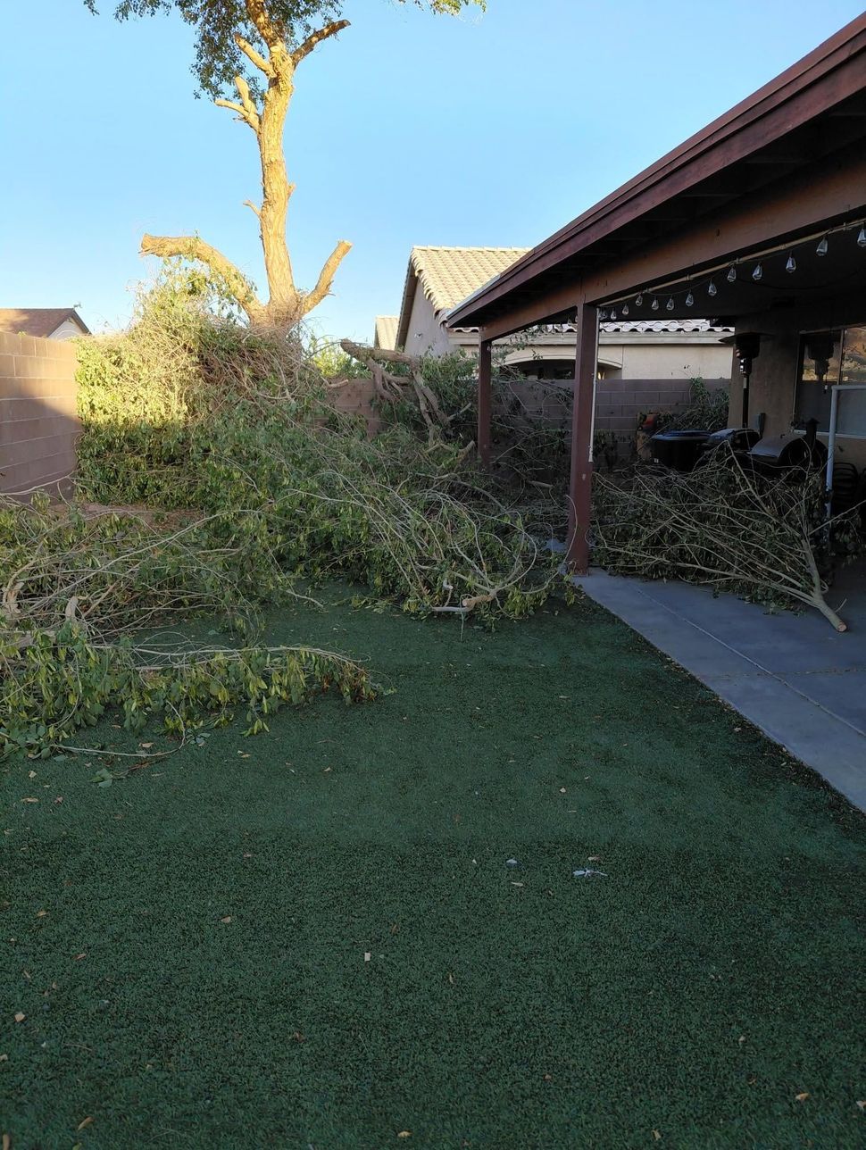 Backyard with fallen tree branches on artificial turf beside a covered patio