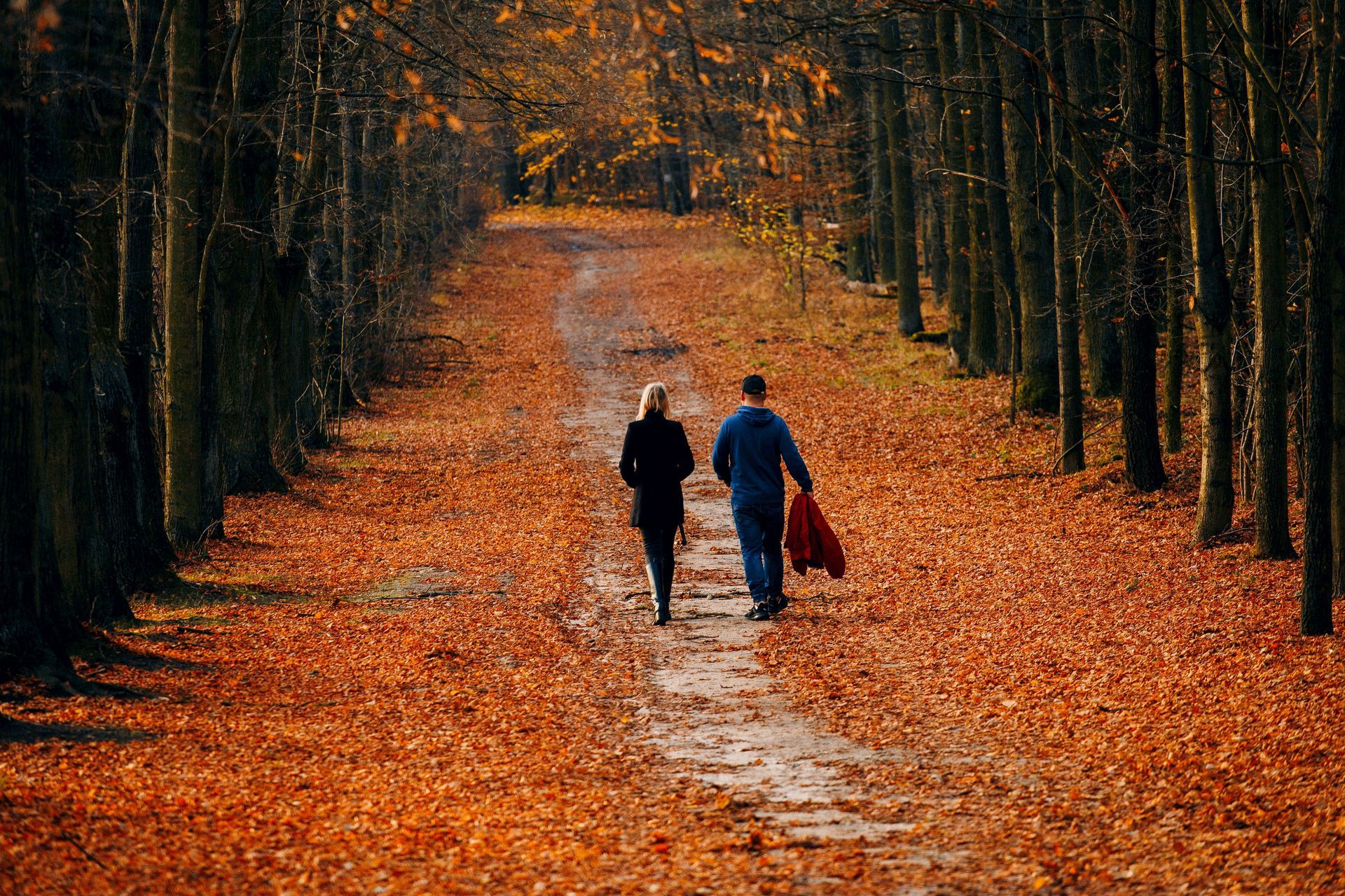 Two people walking hand in hand down a leaf-covered forest path in autumn