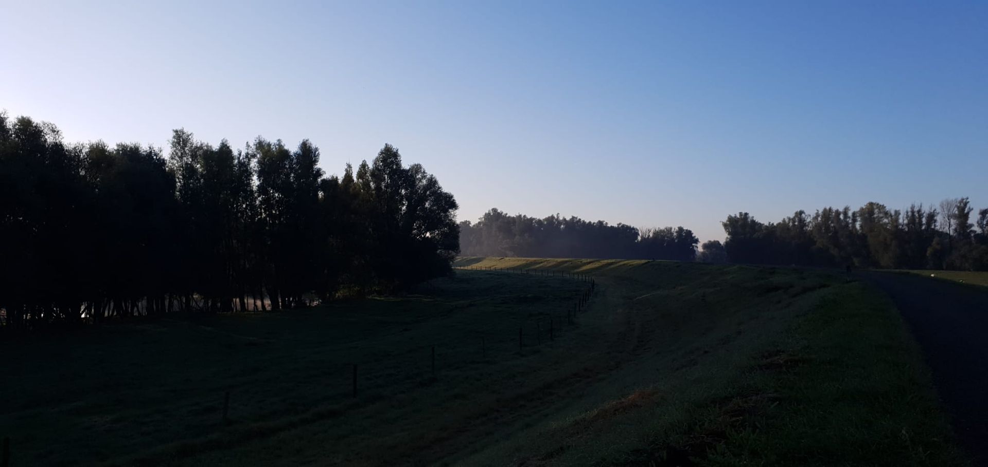 Bomen en een open grasveld onder een helderblauwe hemel.