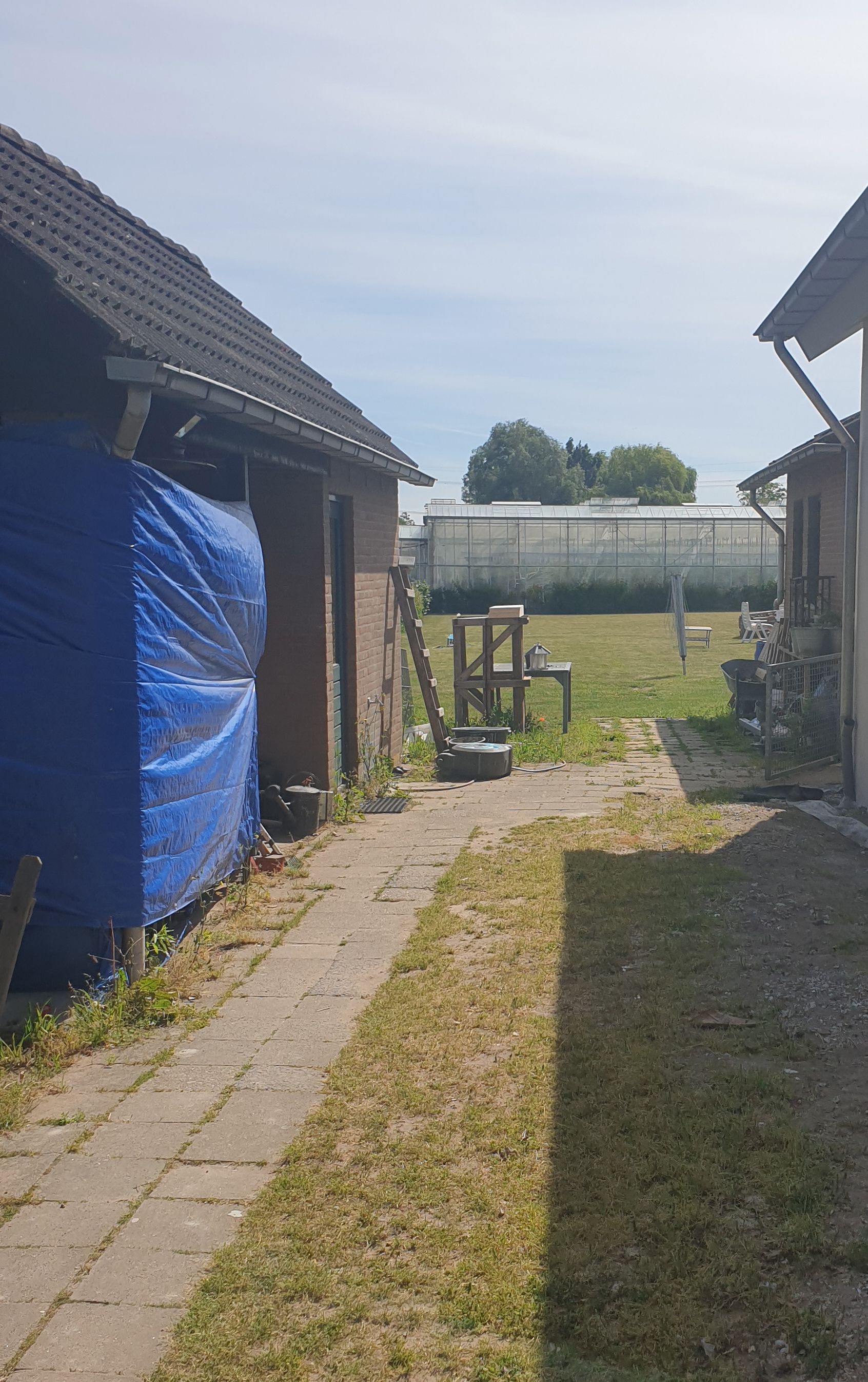 Een pad tussen de gebouwen leidt naar een grasveld, waar in de verte een kas zichtbaar is.