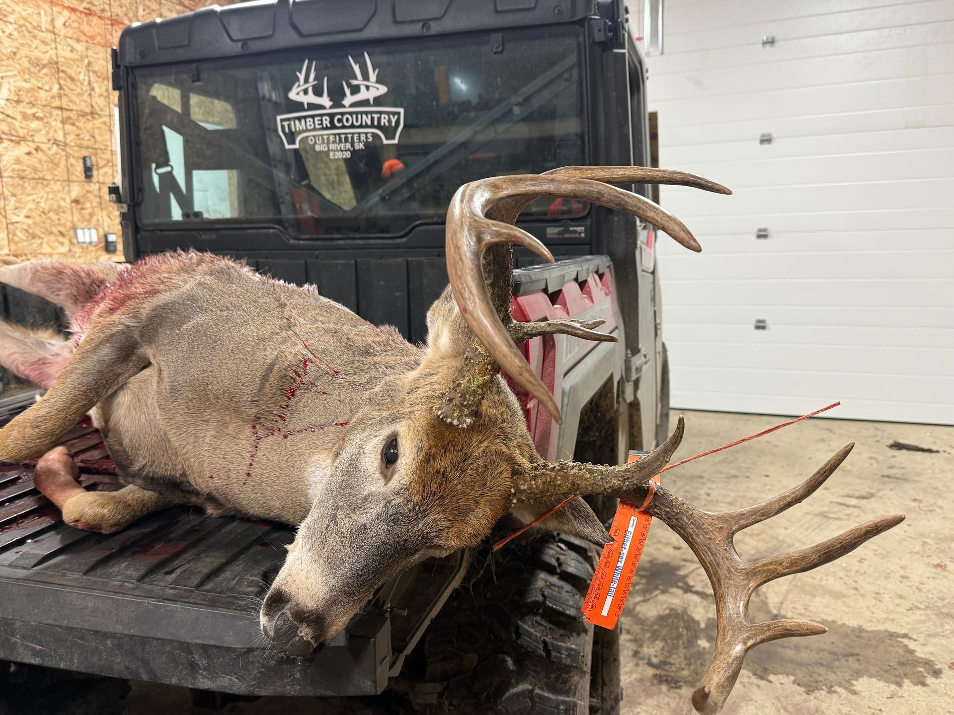 deer hunting outfitter online marketing