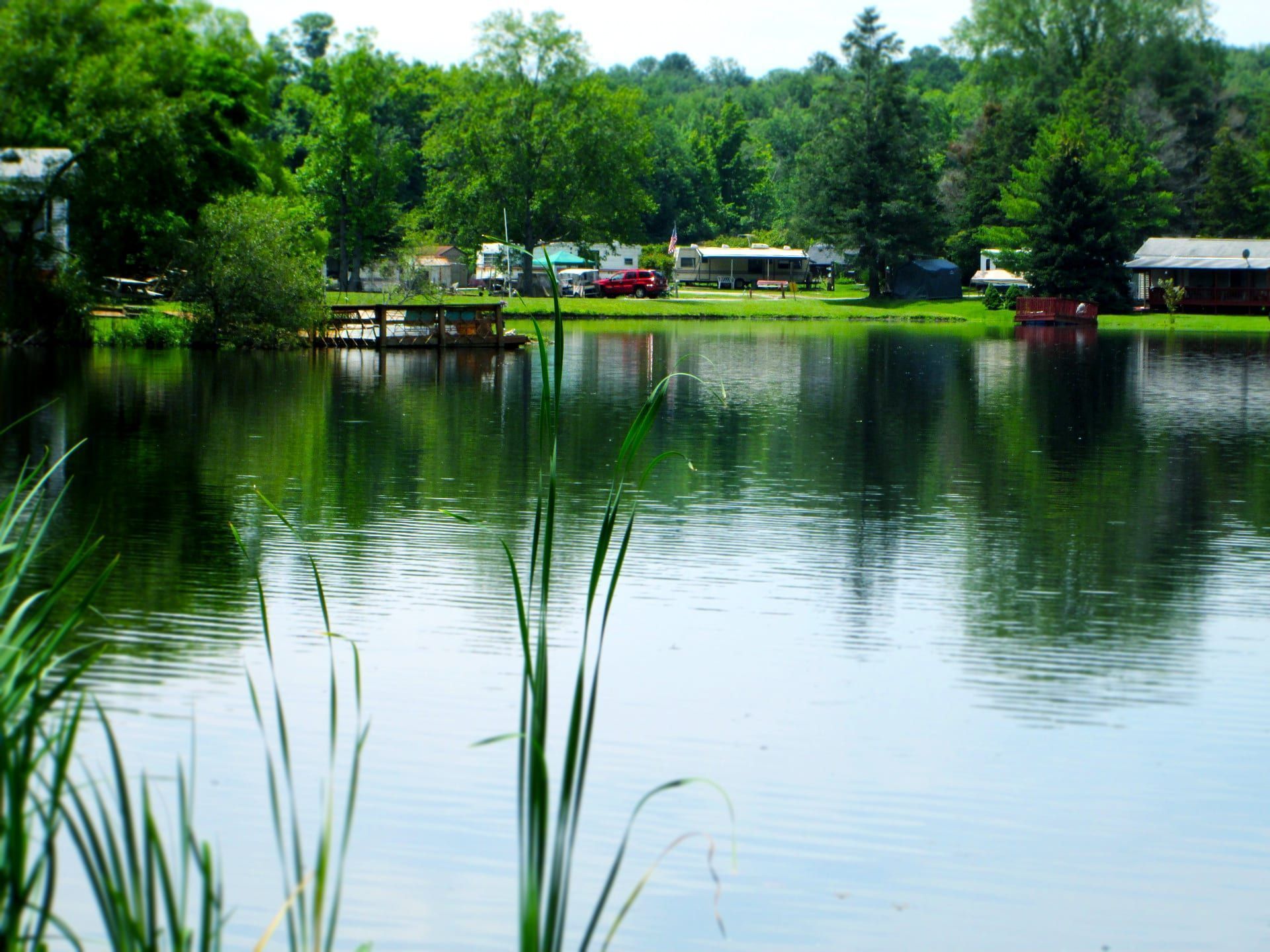A large body of water surrounded by trees and grass