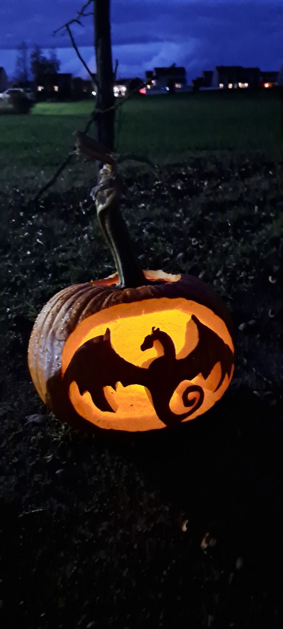 Lit pumpkin carved with a dragon, outside at dusk.