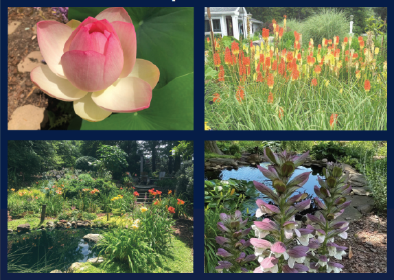 Garden Tour
