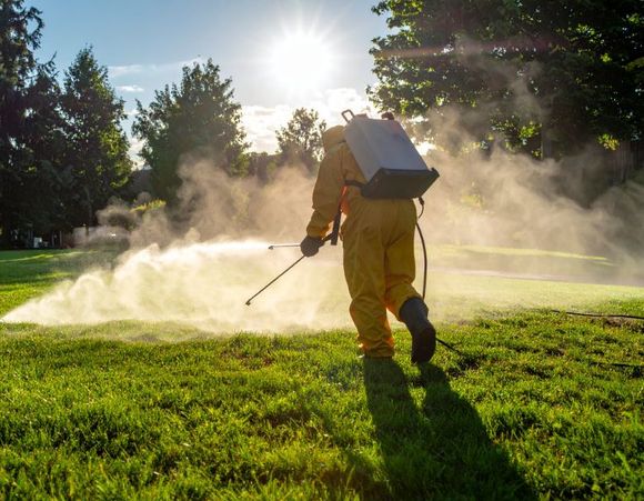 Worker spraying pesticide on a grassy field at sunrise, with mist and sunlight visible