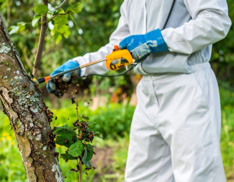 Person in white protective suit trimming a tree branch with orange pruning shears outdoors