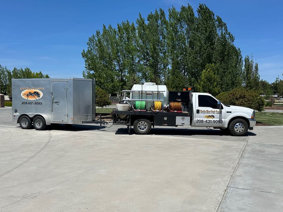 White work truck towing a silver trailer in a sunny parking lot, with trees and blue sky behind.